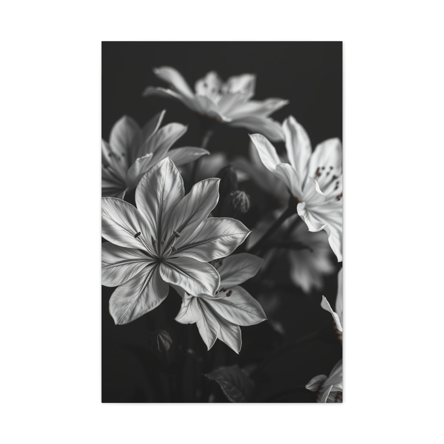 Ebony Whiteness Petal Tableau Wall Art & Canvas Print