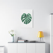 Monstera Leaf Modern Botanical Wall Art & Canvas Prints