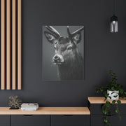 Highland Stag Moonlight Profile Wall Art & Canvas Print