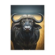 Cape Buffalo Symmetrical Portrait with Golden Backlight Wall Art & Canvas Print