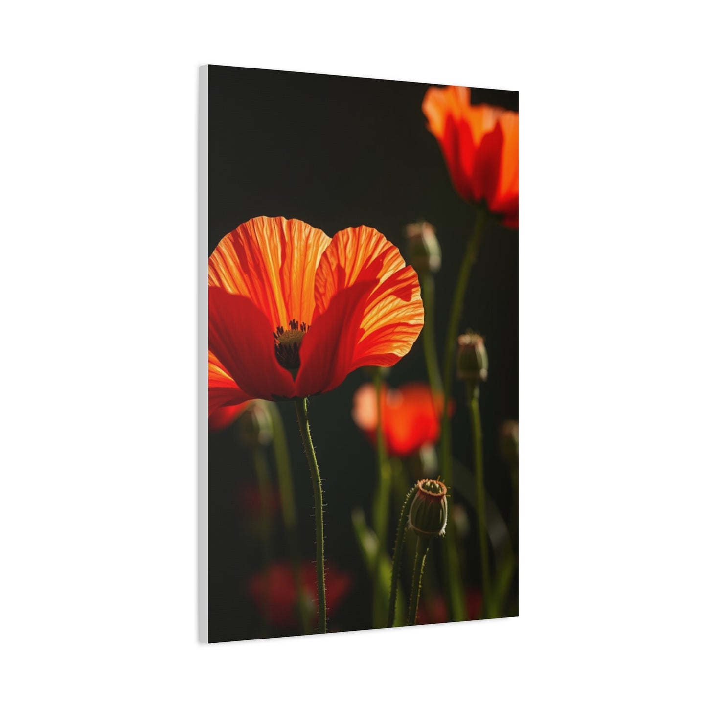 Poppy Flower Art Luxury Canvas Wall Art & Canvas Print
