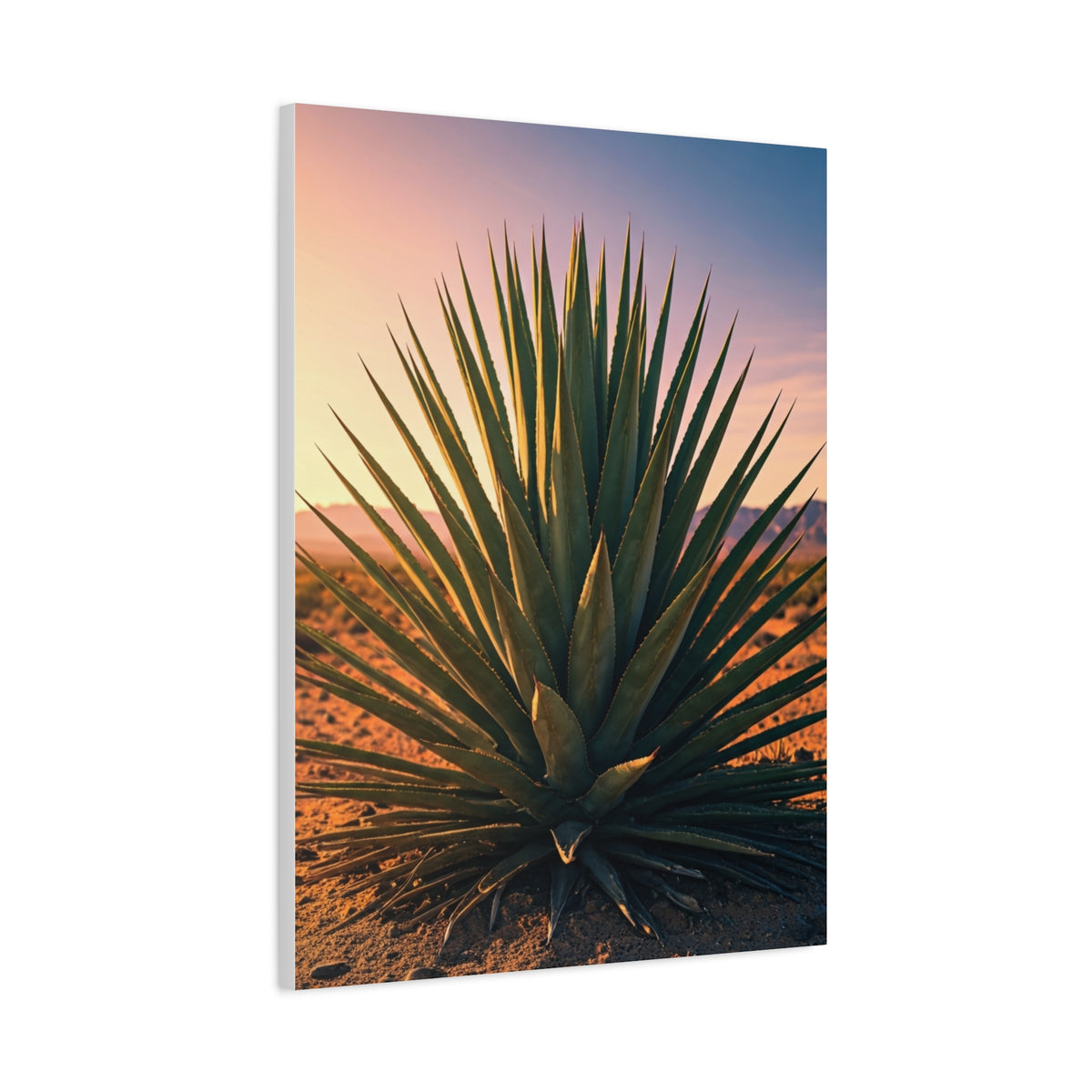Desert Agave Sunburst Wall Art & Canvas Prints