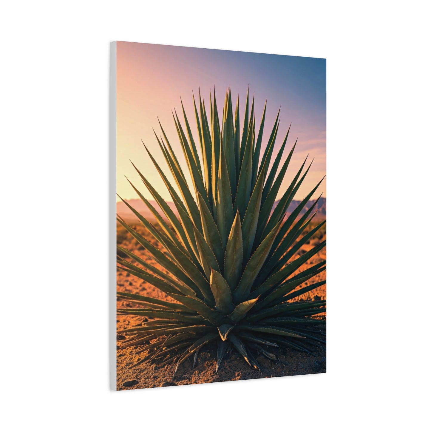 Desert Agave Sunburst Wall Art & Canvas Prints