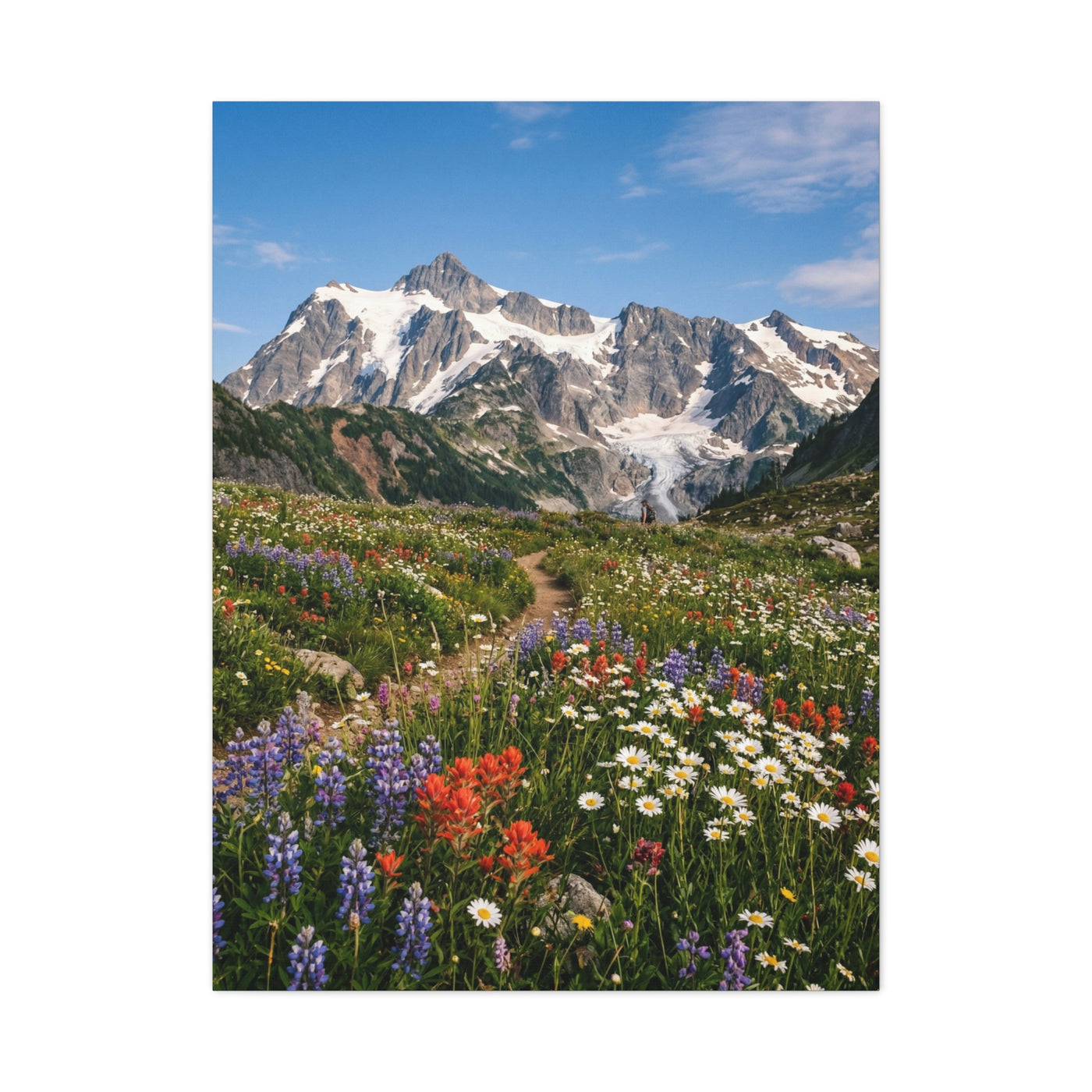 High Alpine Wildflower Meadow Wall Art & Canvas Print
