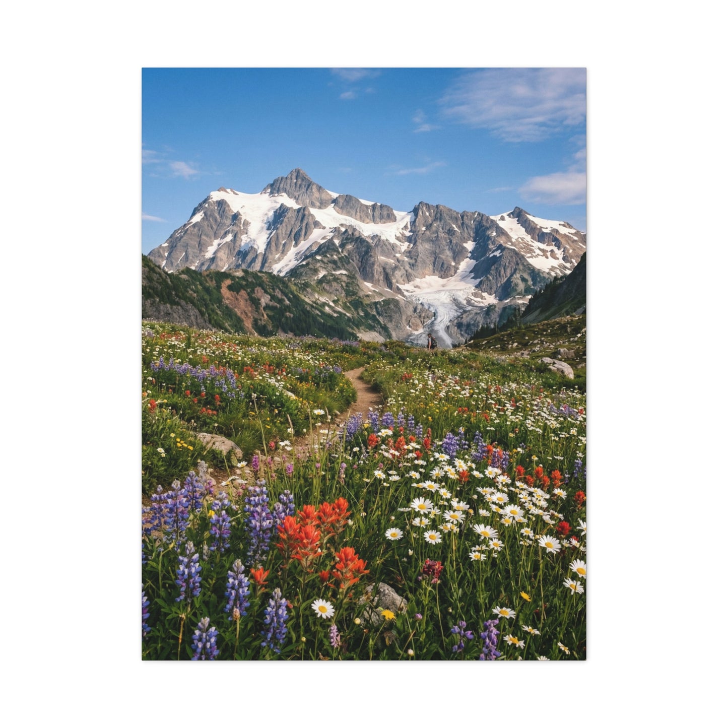 High Alpine Wildflower Meadow Wall Art & Canvas Print