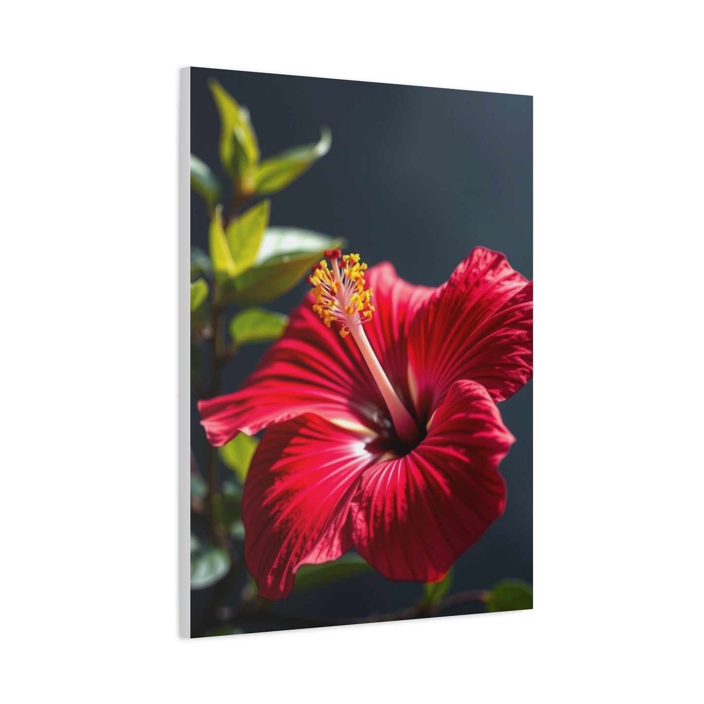 Hibiscus Flower Art Supreme Canvas Wall Art & Canvas Print