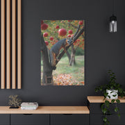 Orchard Gray Fox Climbing Apple Tree Wall Art & Canvas Print