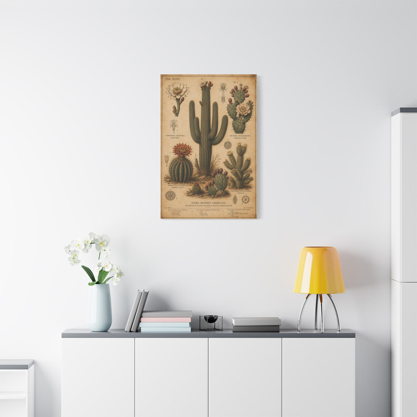 Vintage Desert Botanical Study Southwest Wall Art & Canvas Print