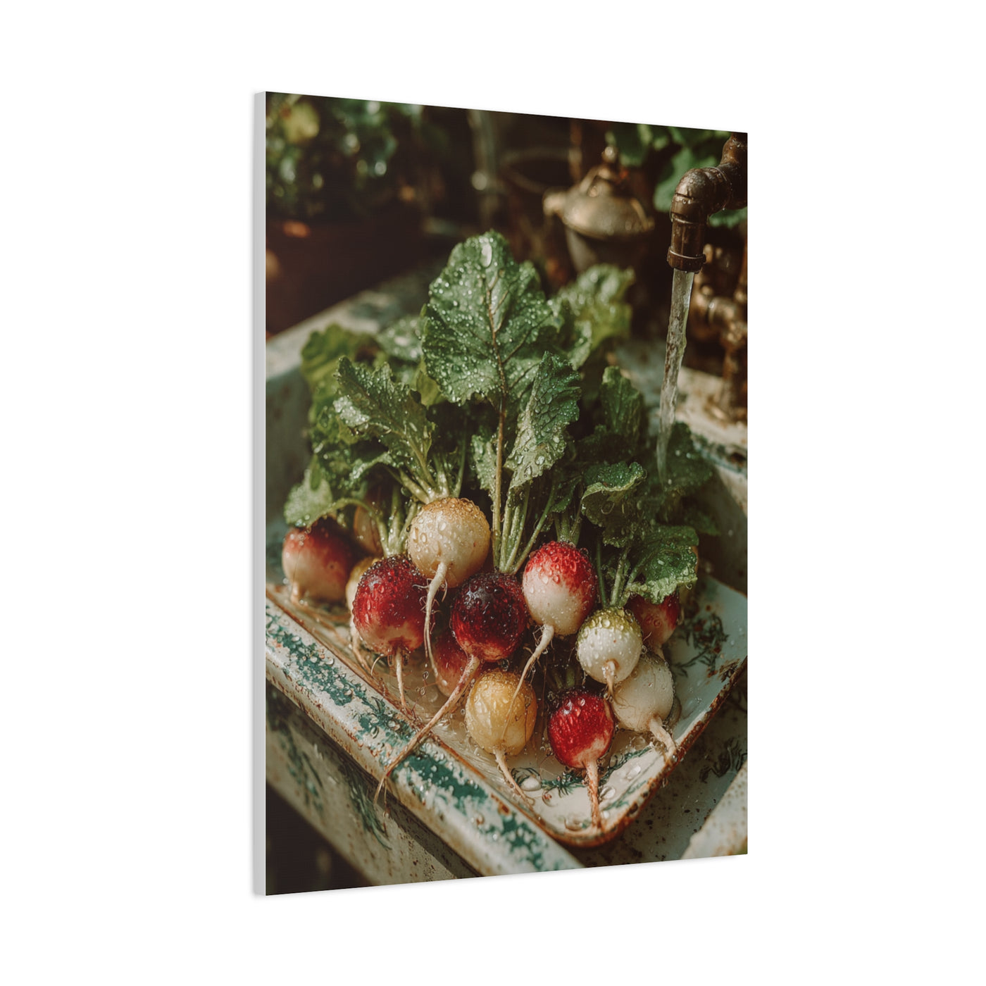 Fresh Garden Radishes Farm Sink Wall Art & Canvas Print