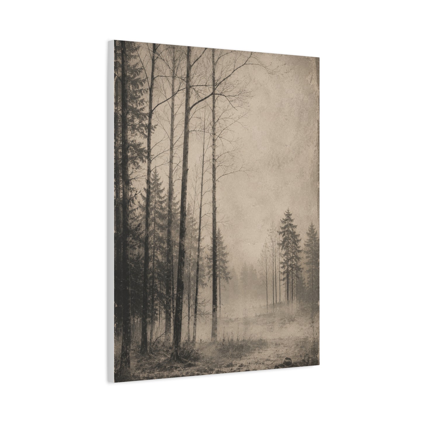 Vintage Fog Forest Monochrome Trees Wall Art & Canvas Print