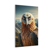 Majestic Mountain Falcon Portrait Wall Art & Canvas Prints