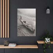 Driftwood Coastal Minimal Wall Art & Canvas Print