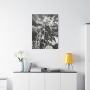 Dramatic Monochrome Alpine Storm Wall Art & Canvas Print