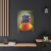 Vibrant Rainbow Lorikeet Wall Art & Canvas Prints
