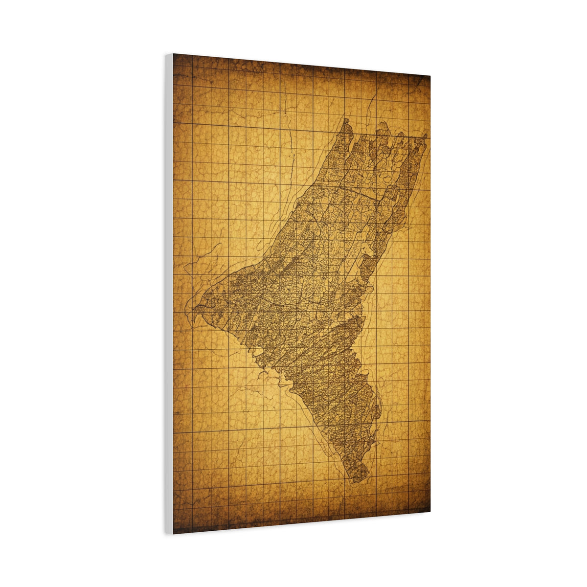 Sepia Gridland Treasure Chart Wall Art & Canvas Prints