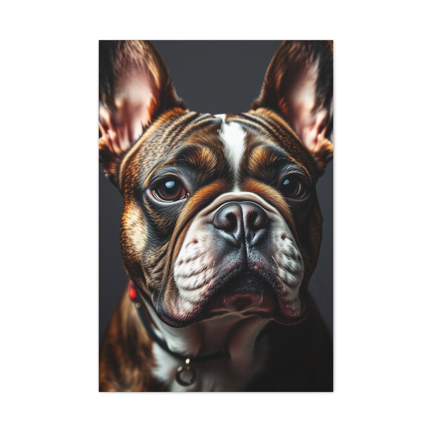 Supreme French Bulldog Art Beautiful Collection Wall Art & Canvas Print