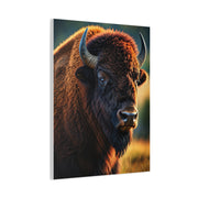 Golden Hour Bison Side Portrait with Warm Prairie Light Wall Art & Canvas Print
