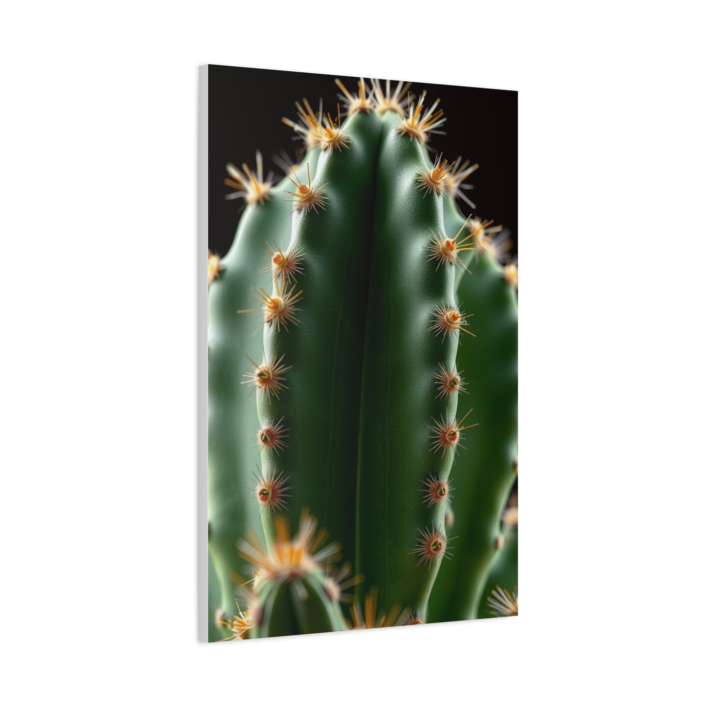 Arid Majesty Canvas Wall Art & Canvas Print