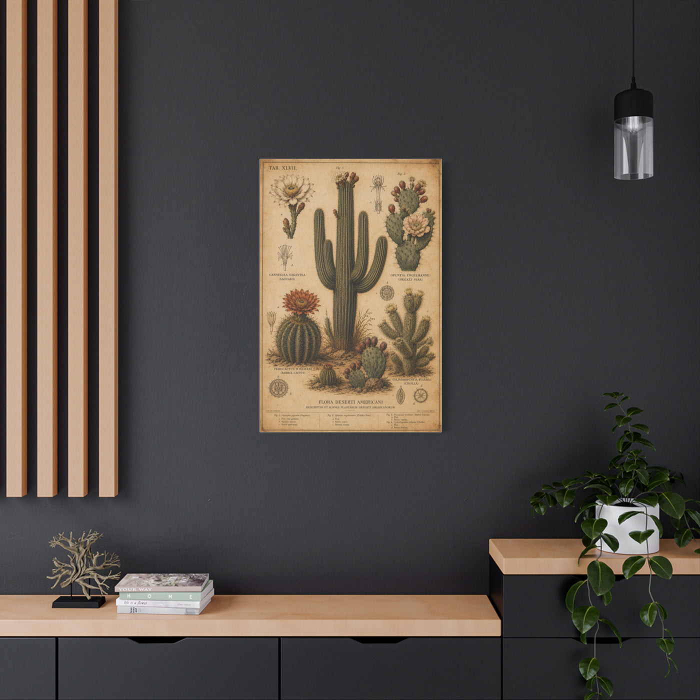 Vintage Desert Botanical Study Southwest Wall Art & Canvas Print