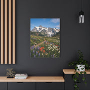 High Alpine Wildflower Meadow Wall Art & Canvas Print