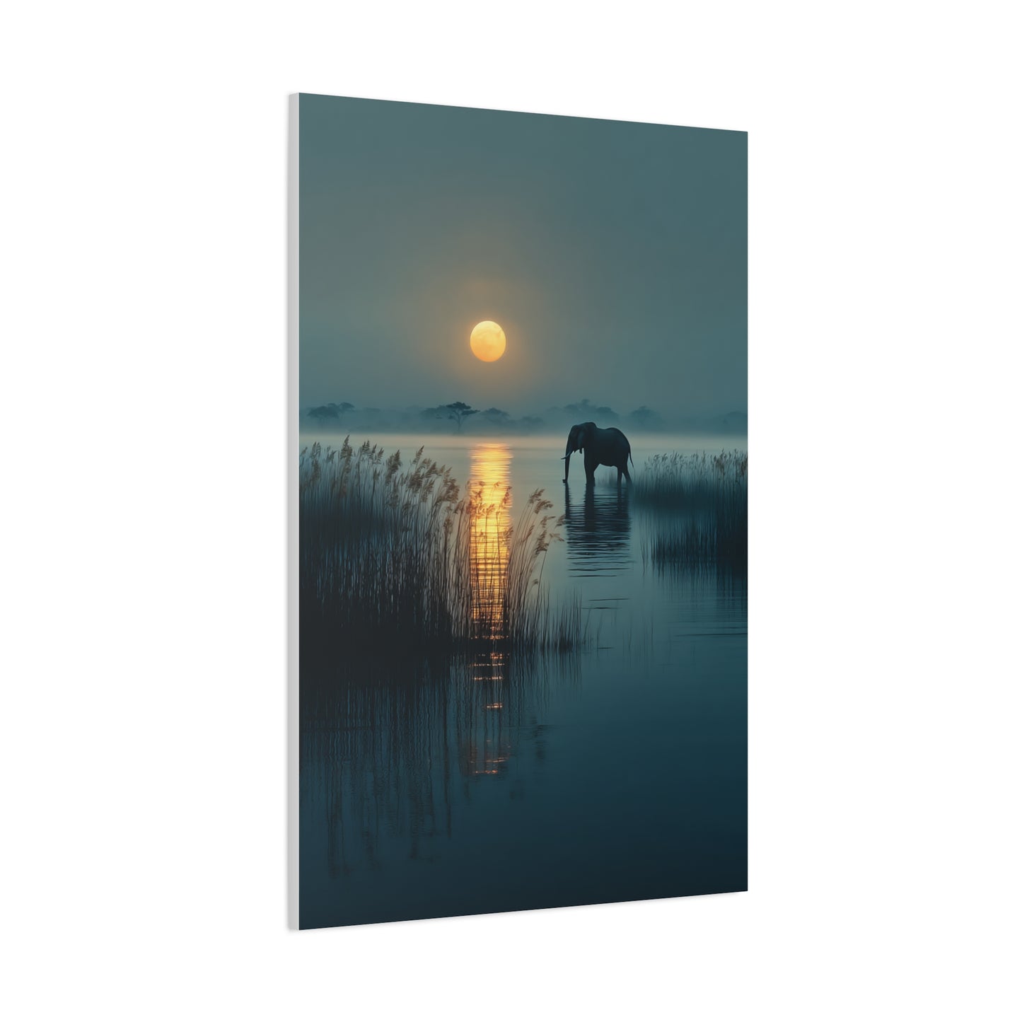 Moonlit Elephant Lake Reflection Wall Art & Canvas Print