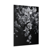 Cascading Cherry Blossom Branch Wall Art & Canvas Prints