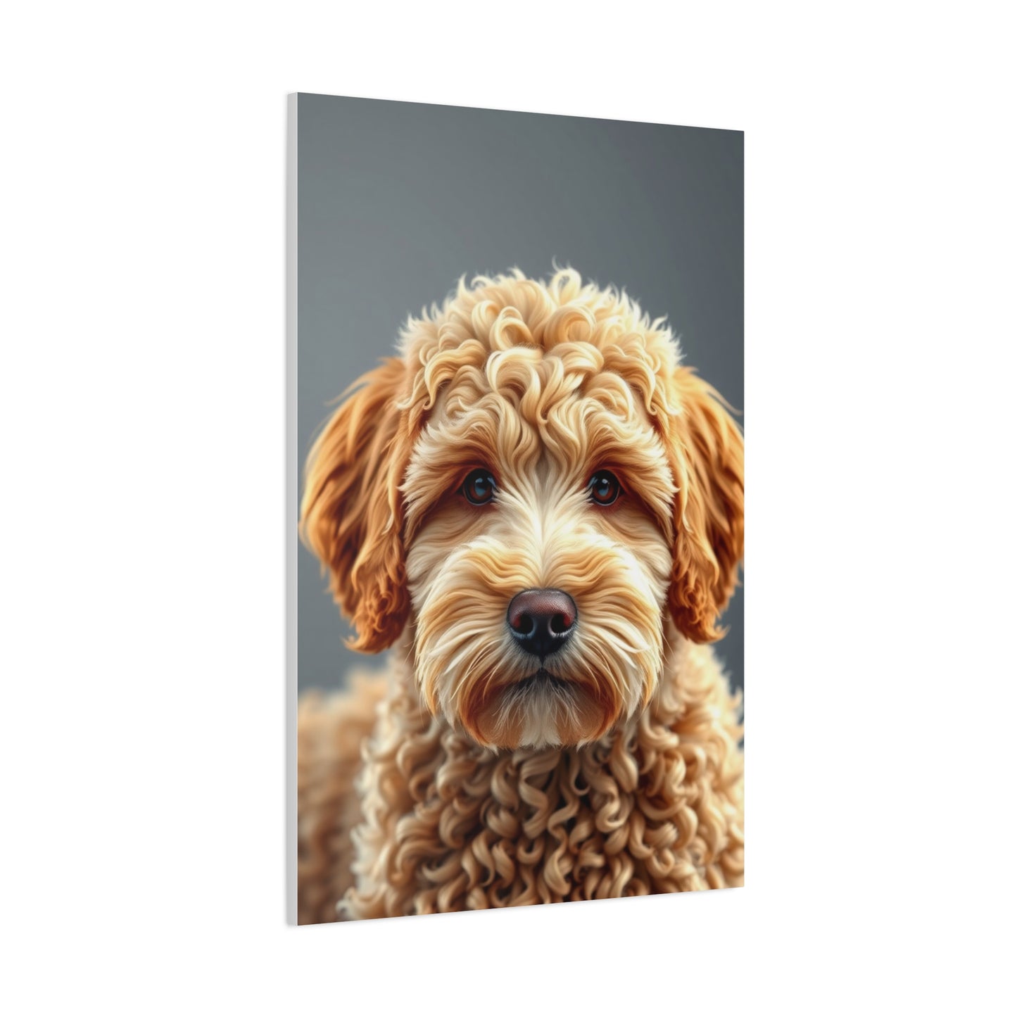 Supreme Canvas Golden Doodle Art Collection Wall Art & Canvas Print