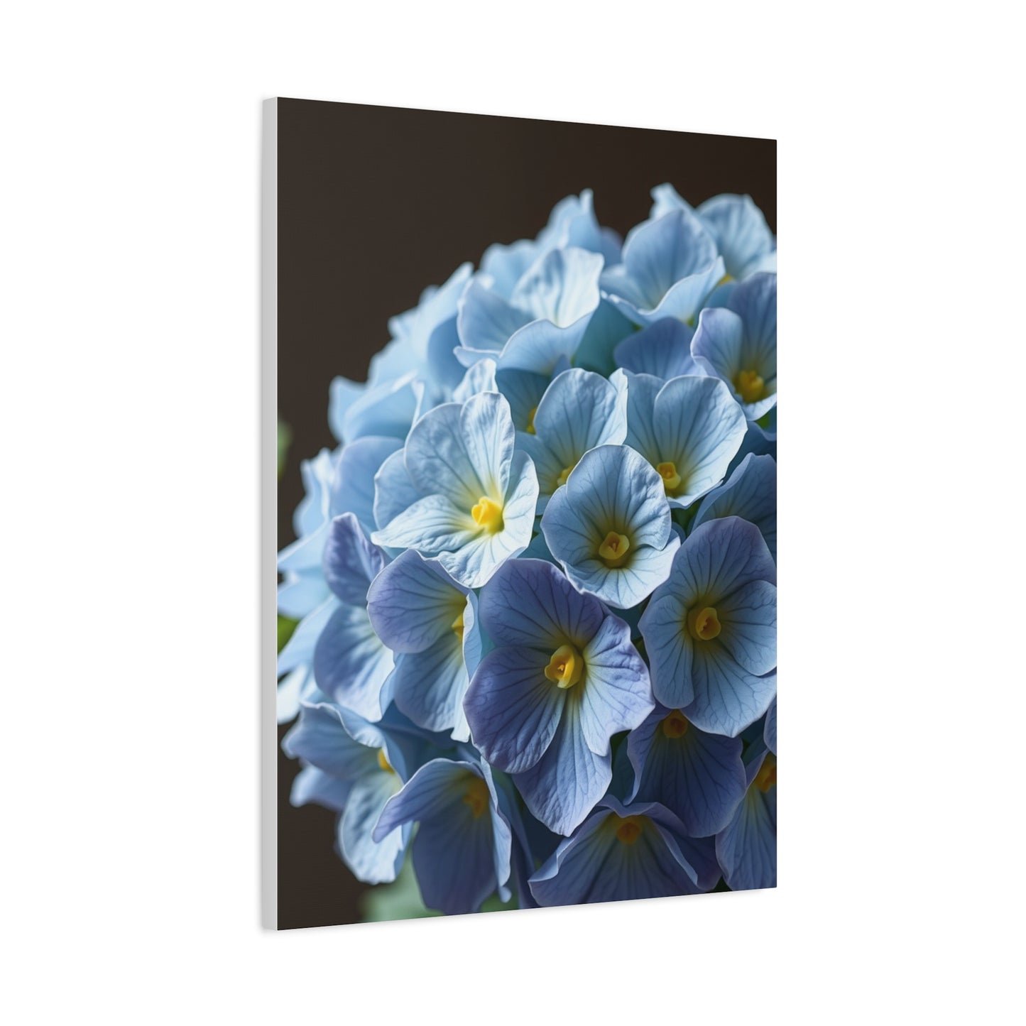 Hydrangea Flower Art Refined Canvas Wall Art & Canvas Print