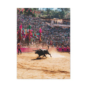 Latin American Bull Festival Arena Wall Art & Canvas Print