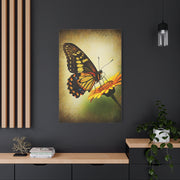 Golden Meadow Butterfly on Flower Wall Art & Canvas Prints
