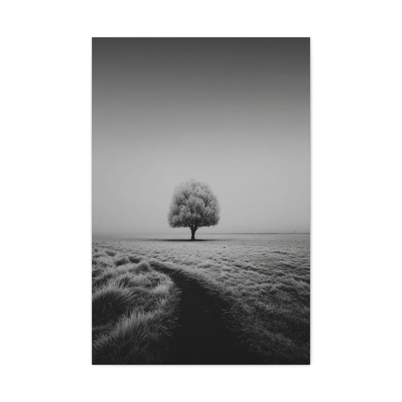 Lone Tree Winter Field Wall Art & Canvas Print