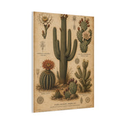 Vintage Desert Botanical Study Southwest Wall Art & Canvas Print
