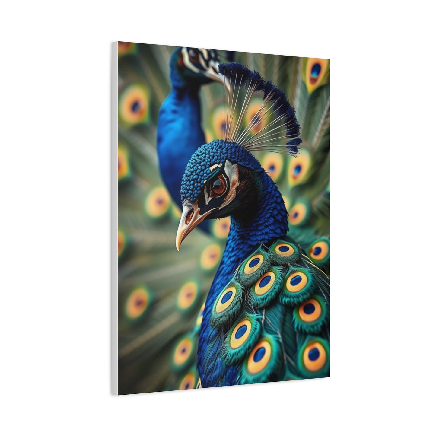Supreme Peacock Art Beautiful Collection Wall Art & Canvas Print