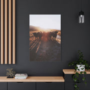Sunset Bull Herd Silhouette Wall Art & Canvas Print