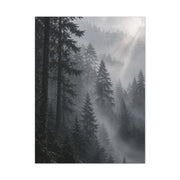 Misty Pine Forest Light Wall Art & Canvas Print