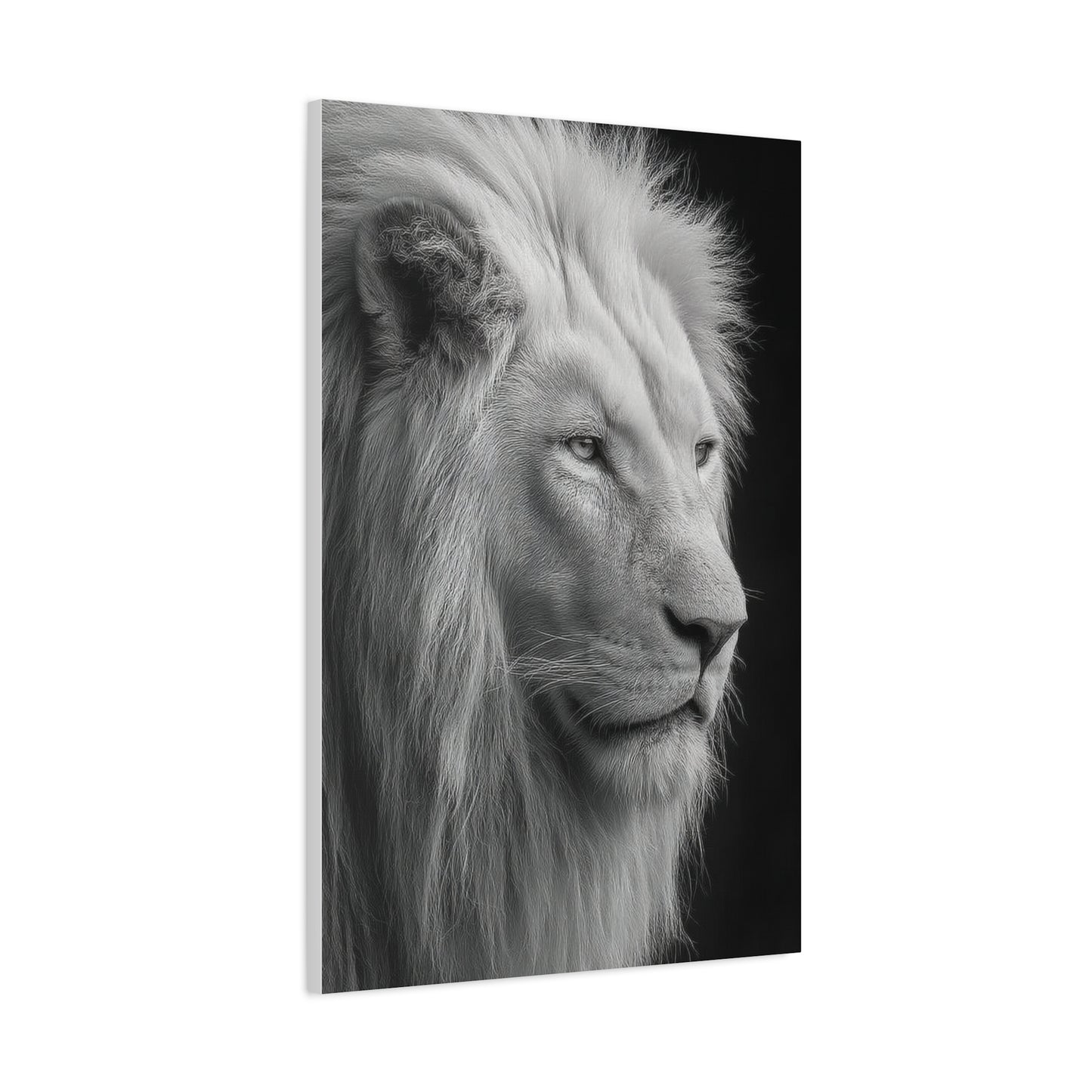 White Lion Monochrome Close Portrait Wall Art & Canvas Print