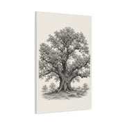 Detailed Engraved Oak Study Trees Wall Art & Canvas Print