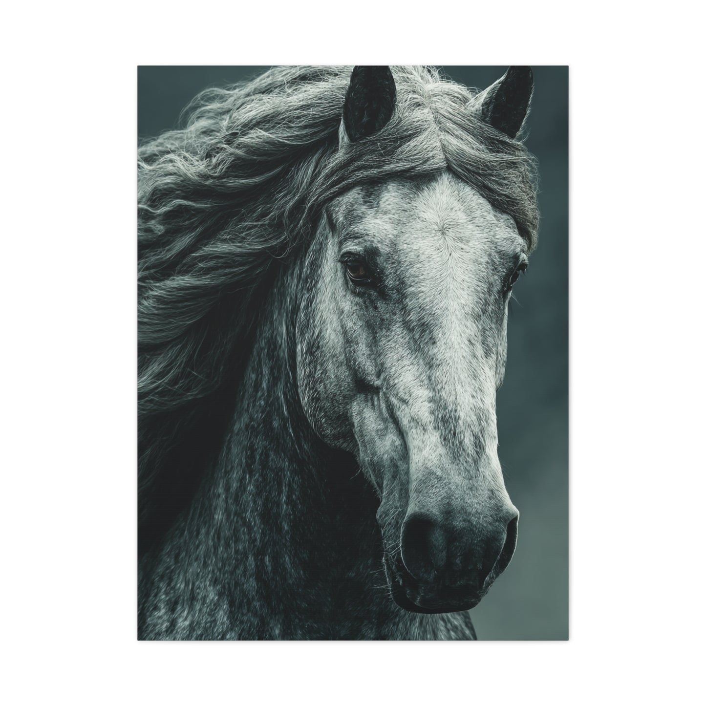 Silver Horse Portrait Wall Art & Canvas Print