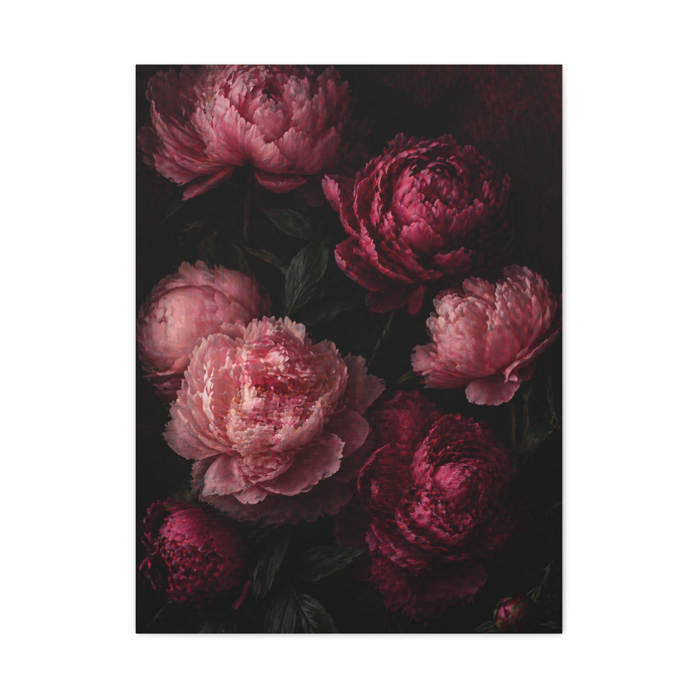 Dark Peony Floral Pink Wall Art & Canvas Print