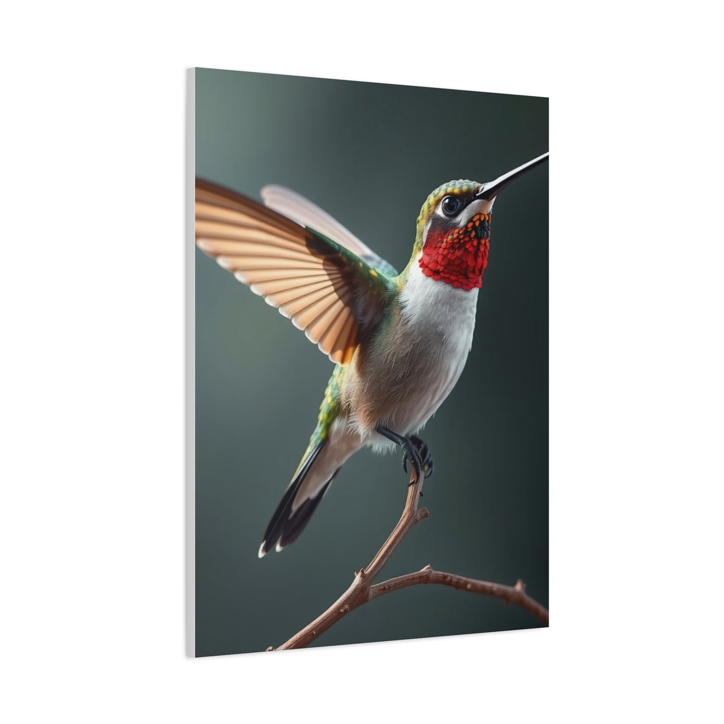 Supreme Humming Bird Art Collection Wall Art & Canvas Print