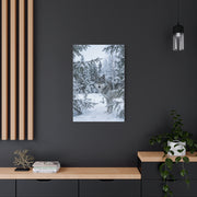 Winter Forest Wolf Natural Encounter Scene Wall Art & Canvas Print