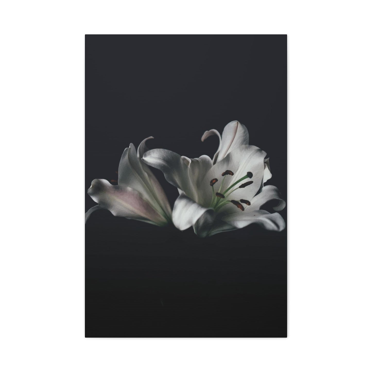 Black Flower Wall Art & Canvas Prints