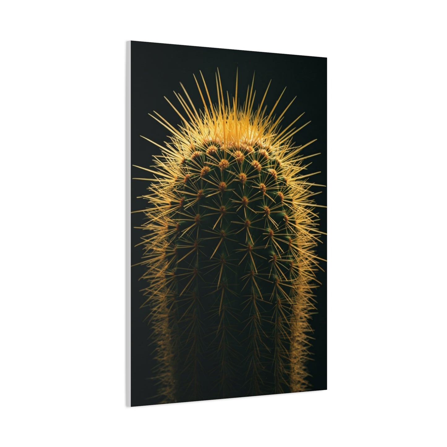 Golden Halo Cactus Sculpture Wall Art & Canvas Prints