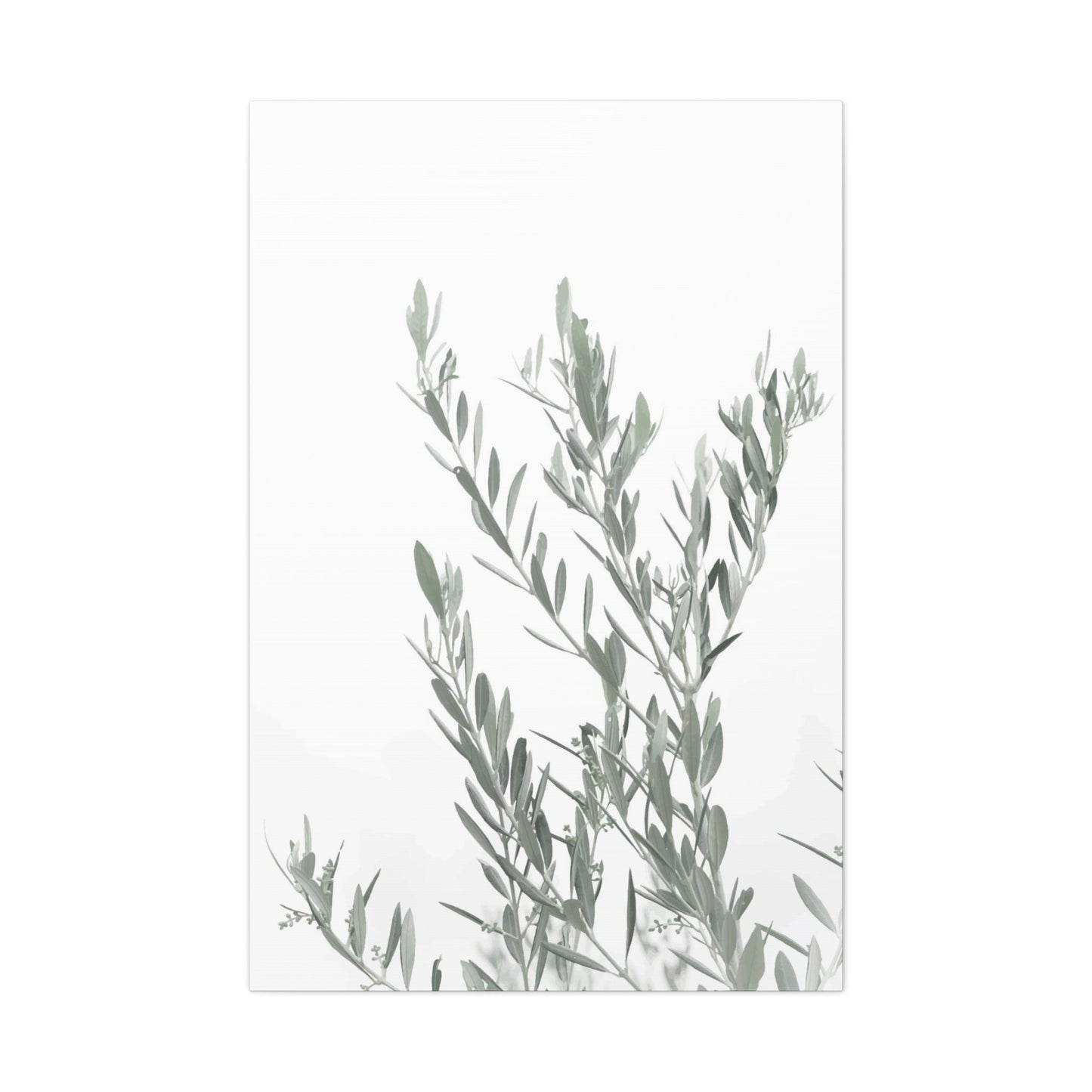 Leafy Wall Art & Canvas Prints