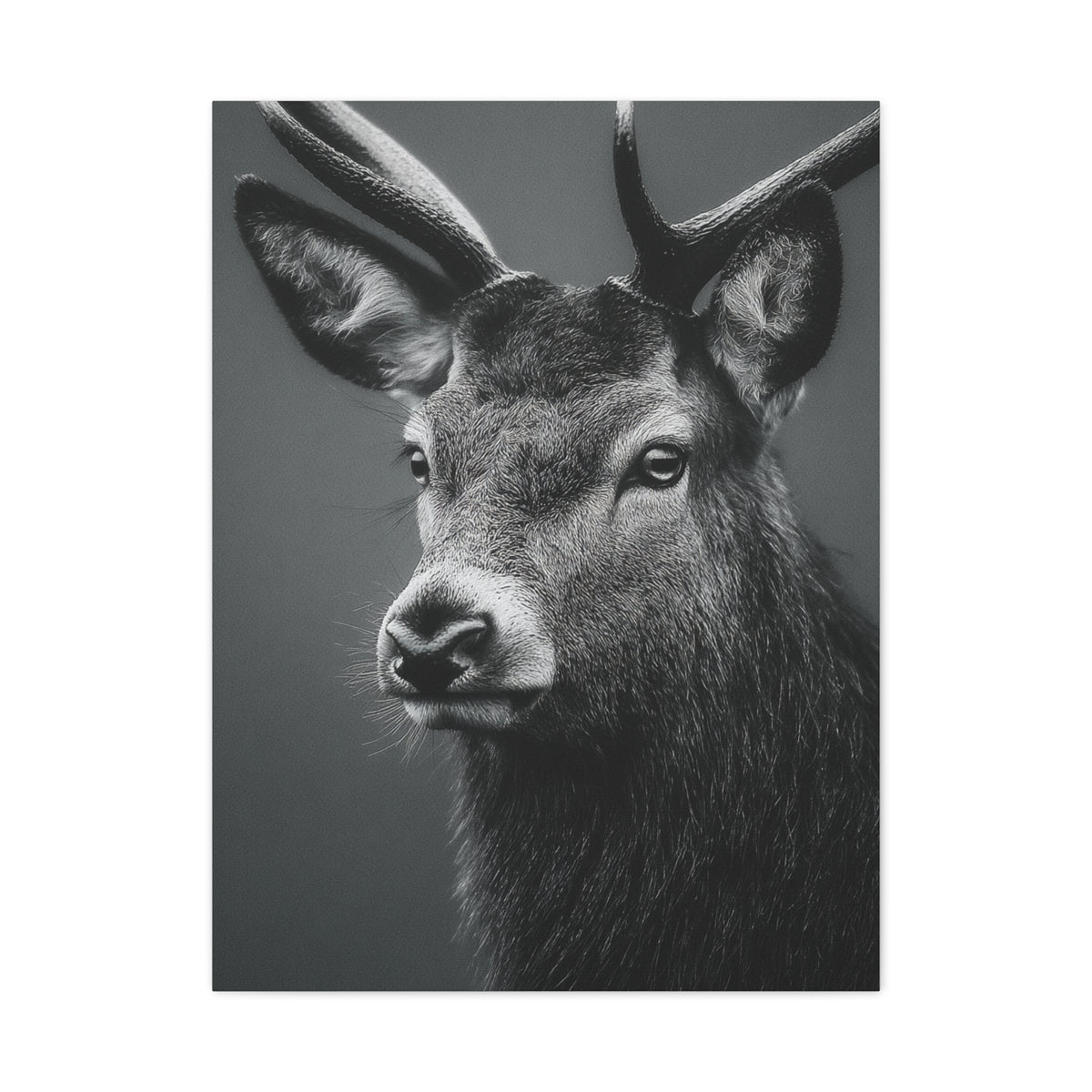 Highland Stag Moonlight Profile Wall Art & Canvas Print