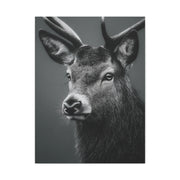 Highland Stag Moonlight Profile Wall Art & Canvas Print