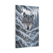 Snow-Covered Pine Wolf Close Portrait Wall Art & Canvas Print