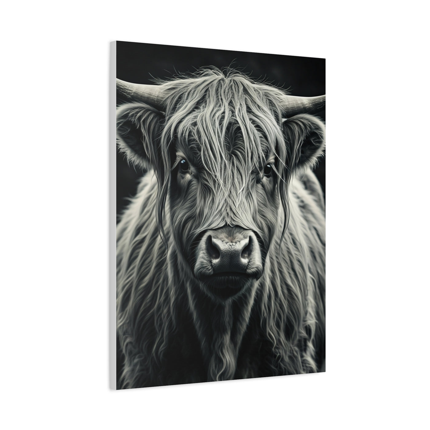 Highland Longhorn Portrait Wall Art & Canvas Prints