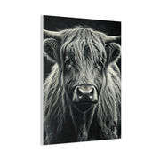 Highland Longhorn Portrait Wall Art & Canvas Prints