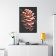 Blush Pink Oyster Mushroom Macro Study Wall Art & Canvas Print